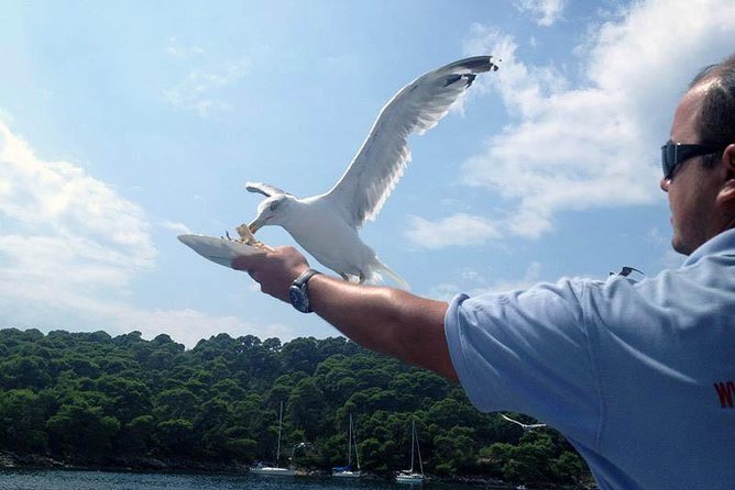 Dubrovnik Elafiti Islands Cruise with Lunch, Drinks and Pickup - The boat and crew shape the experience