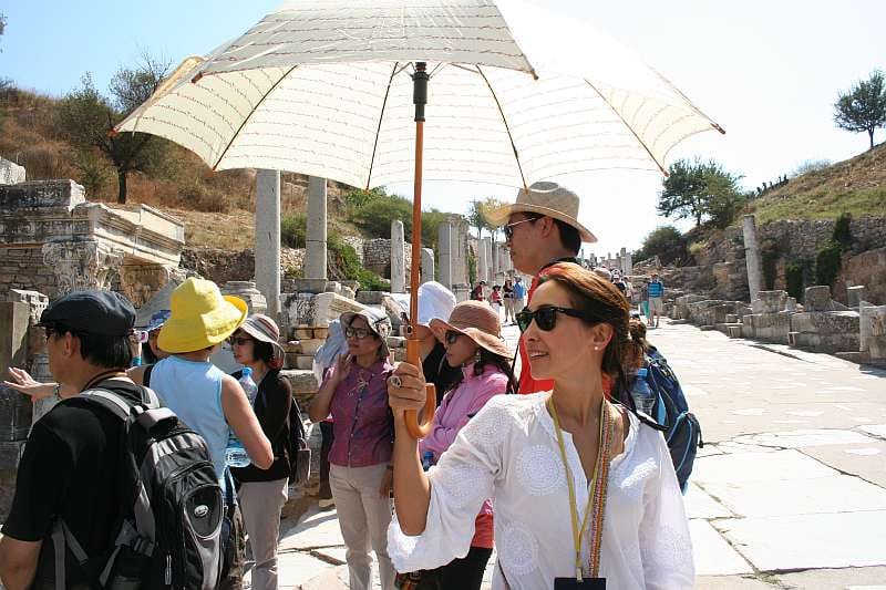 Ephesus: Small Group Tour for Cruise Passengers - Why the $29 price can be good value
