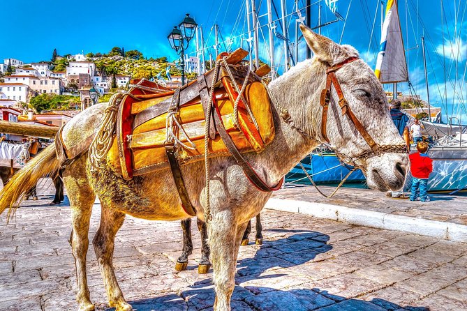 From Athens: Hydra, Poros, and Aegina Day Cruise with Lunch - Getting from Athens to the ship
