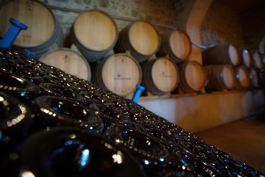 From Barcelona: Sailing and Wine Tasting Experience - Why this Barcelona day trip works