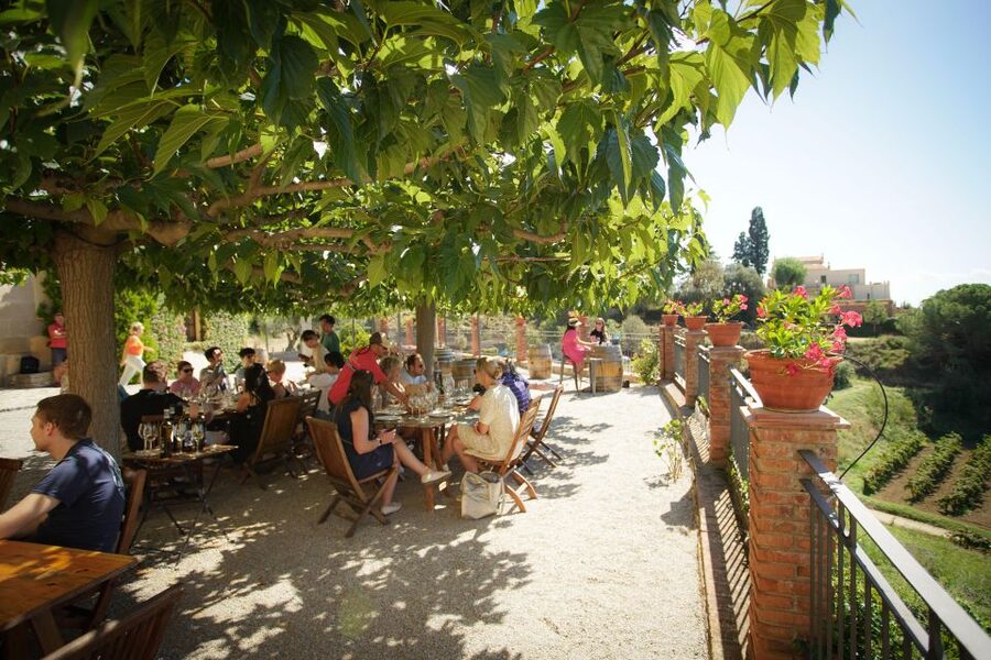 From Barcelona: Sailing and Wine Tasting Experience - Return options and the route back to Barcelona