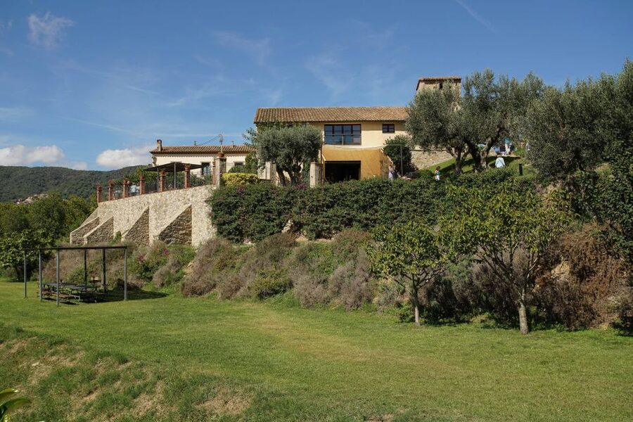 From Barcelona: Sailing and Wine Tasting Experience - Who should book this experience?