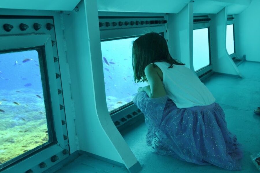 From Cala Millor: East Coast Glass-Bottom Boat Trip - The four-hour cruises cover the most coast
