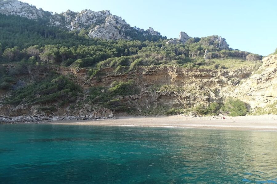 From Can Picafort: Dolphin Watching and Cave Boat Trip - What the three hours really include