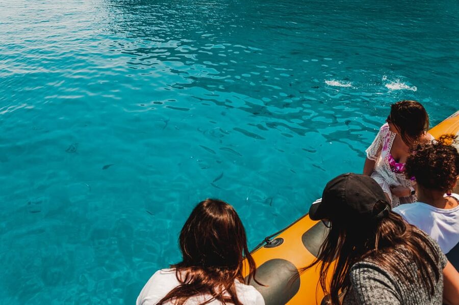 From Can Picafort: Dolphin Watching and Cave Boat Trip - Meeting the boat in Can Picafort