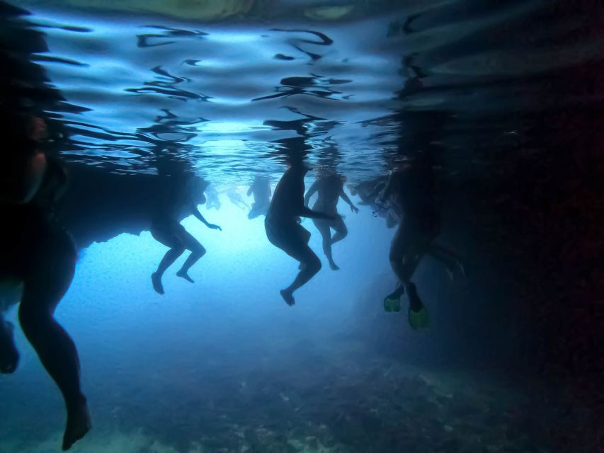 From Dubrovnik/Cavtat: Blue Cave, Sunj Beach Speed Boat Tour - A fast start from Dubrovnik or Cavtat