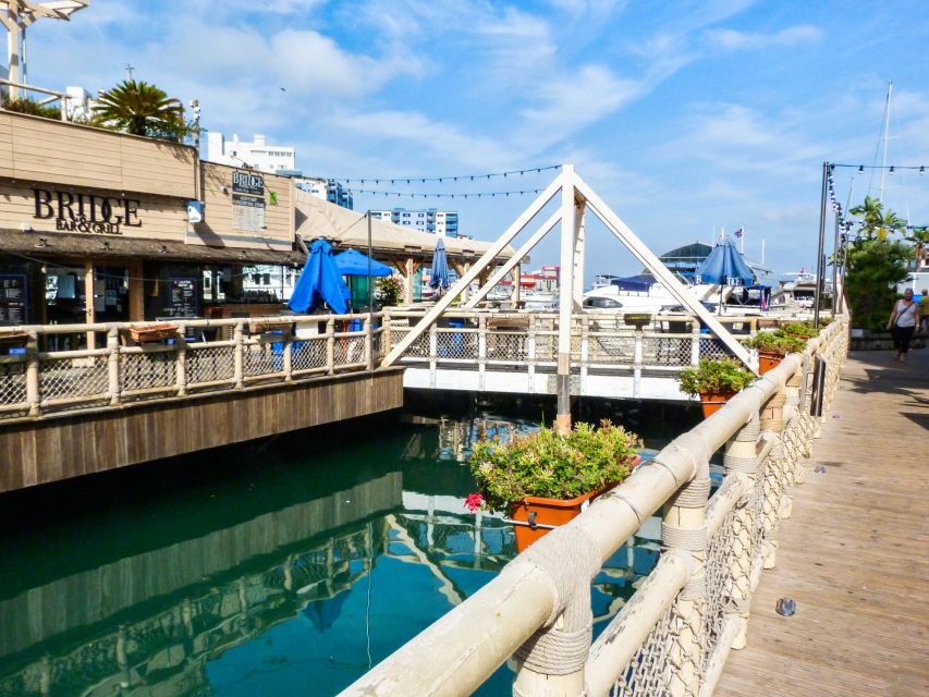 From Malaga: Day trip to Gibraltar and Dolphin Boat Tour - The 90-minute dolphin boat trip