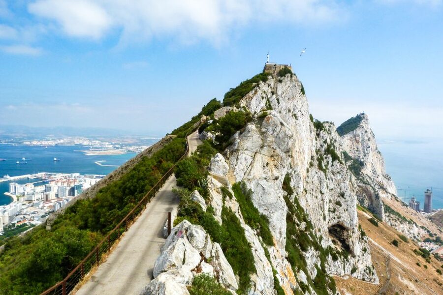From Malaga: Day trip to Gibraltar and Dolphin Boat Tour - What the boat ride feels like in practice