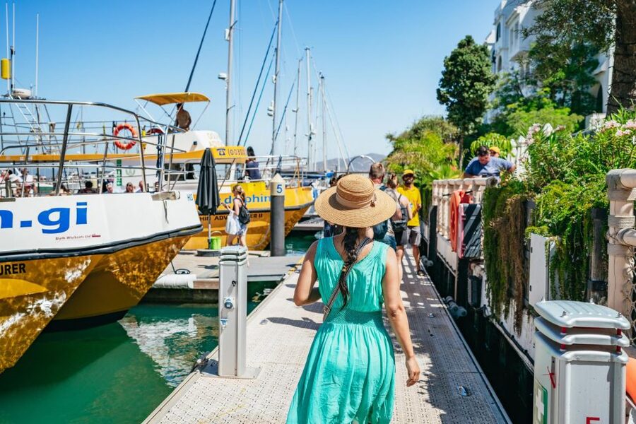 From Malaga: Day trip to Gibraltar and Dolphin Boat Tour - Price and value at $73