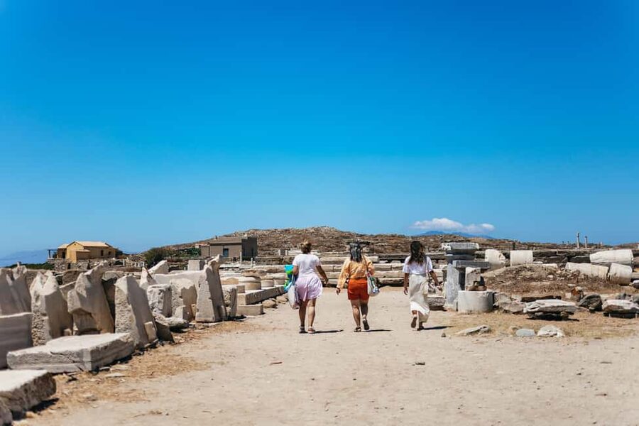 From Mykonos: Cruise to Delos and Rhenia with Lunch - Visiting sacred Delos after lunch