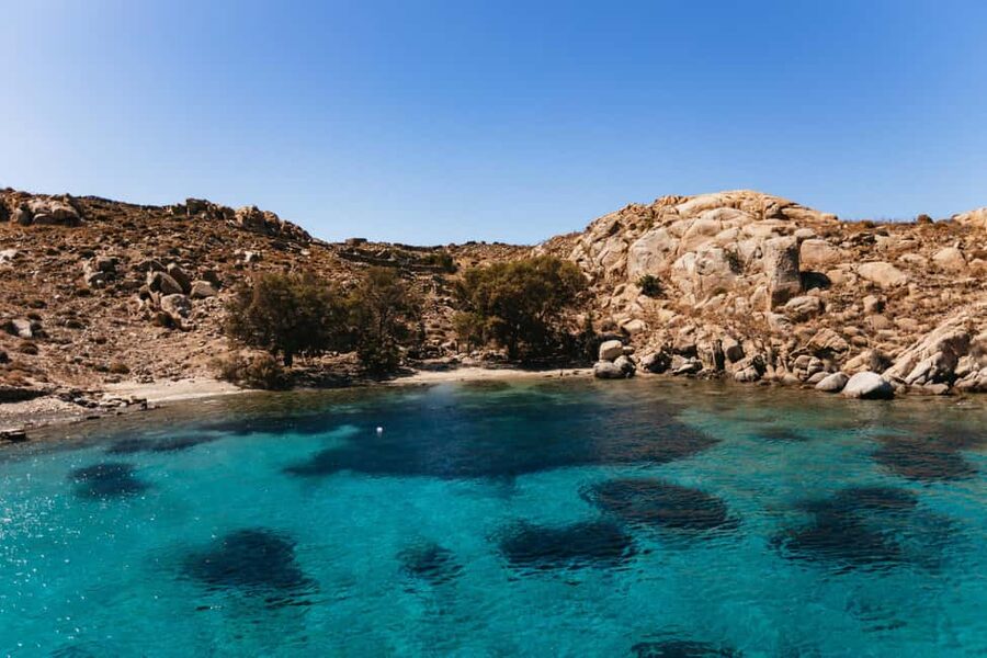 From Mykonos: Cruise to Delos and Rhenia with Lunch - Is $103 a good price?