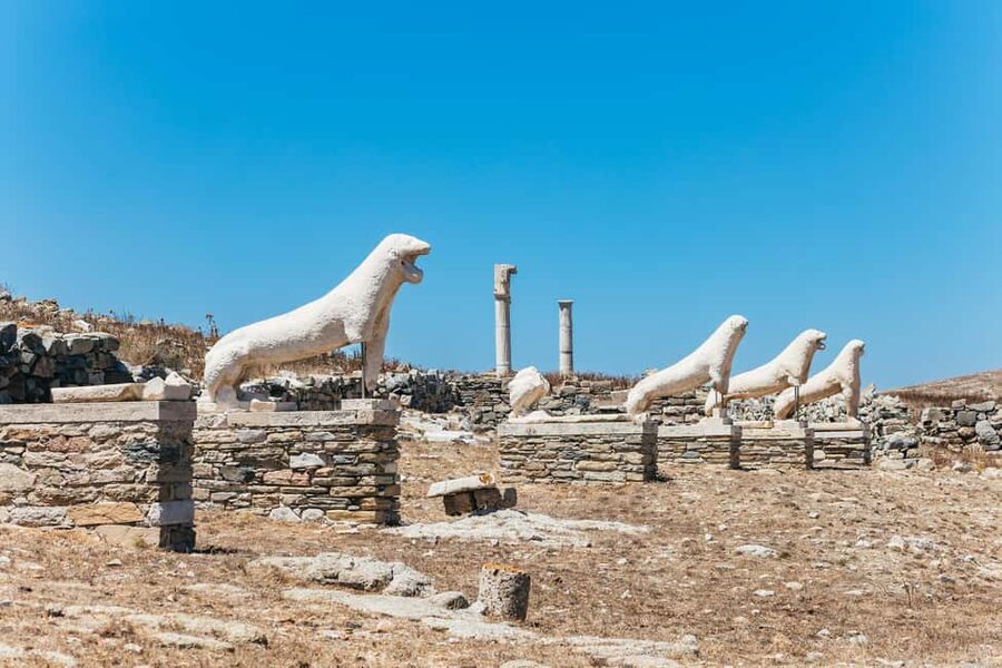 From Mykonos: Cruise to Delos and Rhenia with Lunch - What to bring and how to prepare