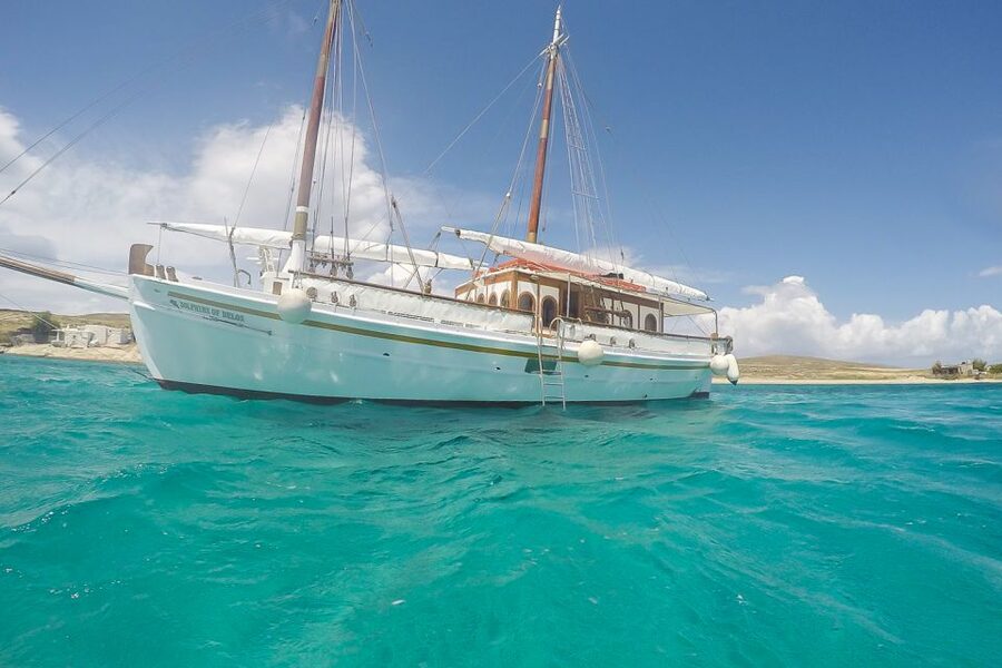 From Mykonos: Delos & Rhenia Islands Half-Day Trip by Boat - The BBQ Lunch and Included Drinks