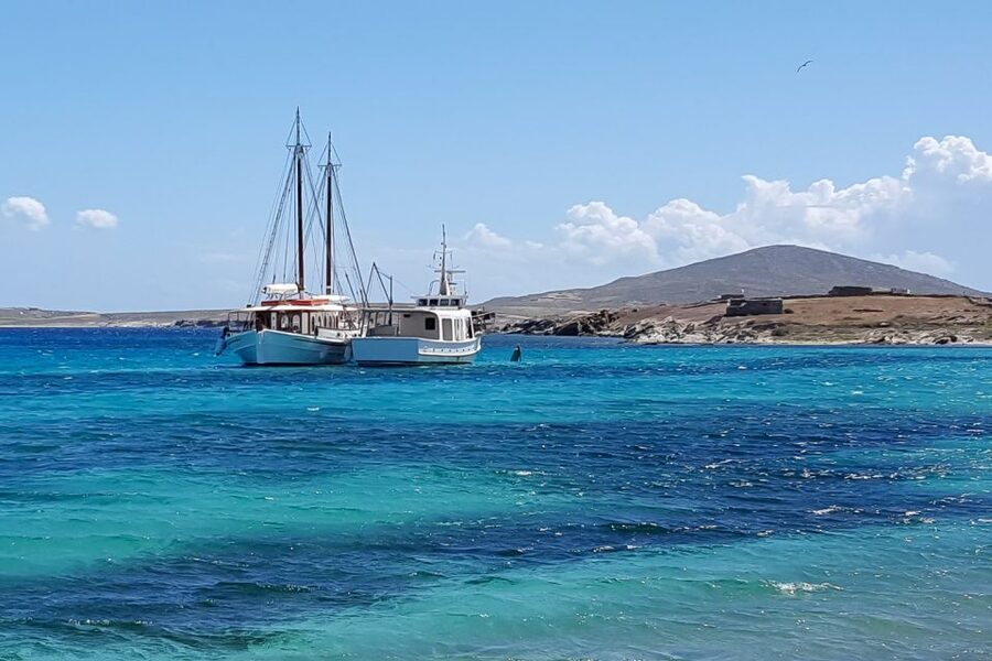 From Mykonos: Delos & Rhenia Islands Half-Day Trip by Boat - Should You Book the Delos and Rhenia Cruise?