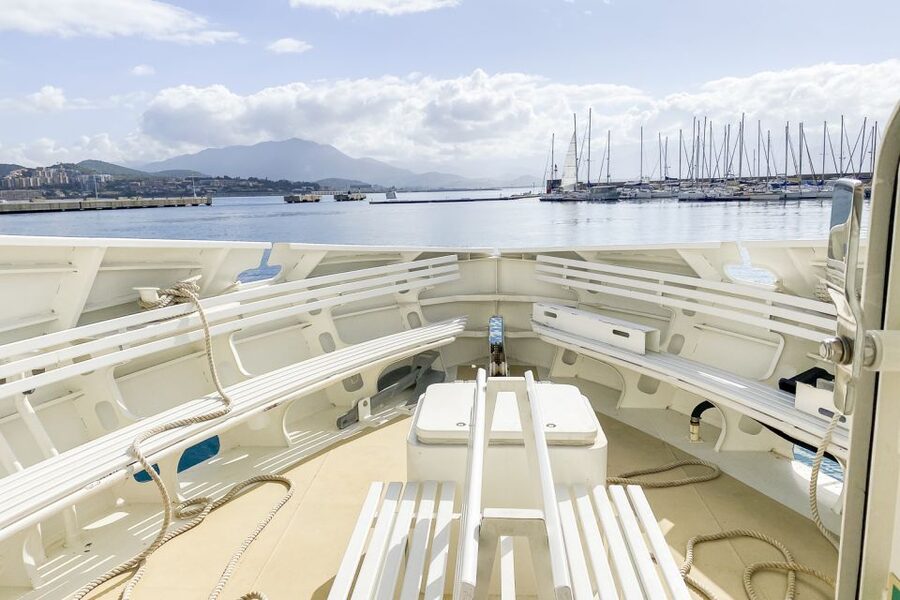 From Ota: Scandola Nature Reserve Eco-Friendly Boat Tour - Who will enjoy this boat tour most