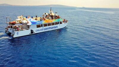 From Paguera: Dolphin Watching Cruise in a Glass-Bottom Boat