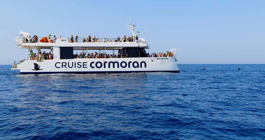 From Paguera: Dolphin Watching Cruise in a Glass-Bottom Boat - Food, drinks, and the onboard atmosphere