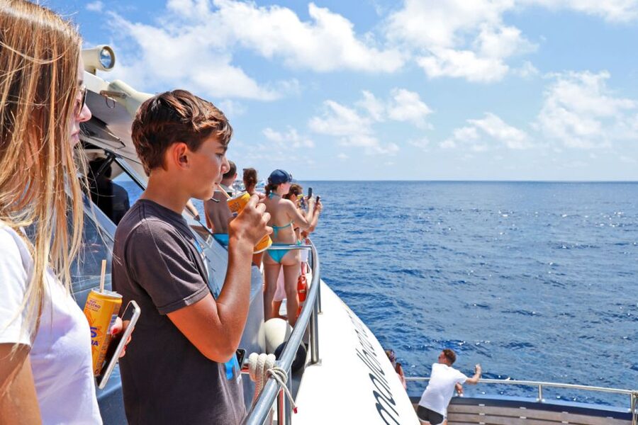 From Paguera: Dolphin Watching Cruise in a Glass-Bottom Boat - Who should book this dolphin cruise?