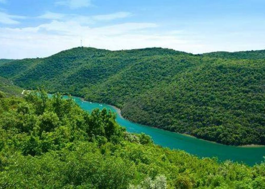 From Poreč: Lim Fjord, Rovinj, and Vrsar Boat Trip - Lunch on the Lim Fjord cruise