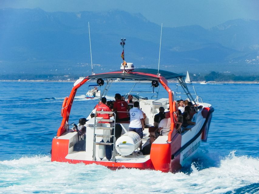 From Salou/Cambrils: Speedboat Tour - Leaving Salou or Cambrils at full speed