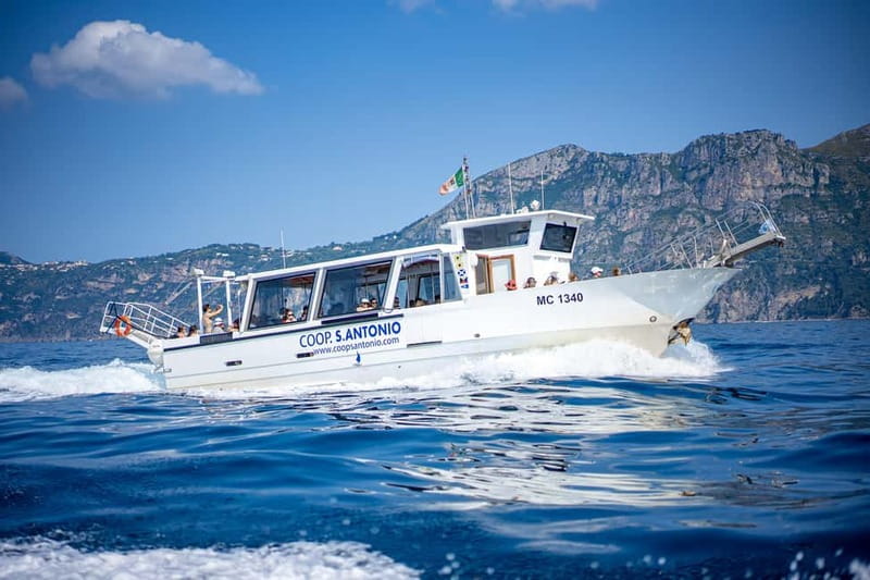 From Sorrento/Nerano: Amalfi and Positano Boat Tour - Key points before you book