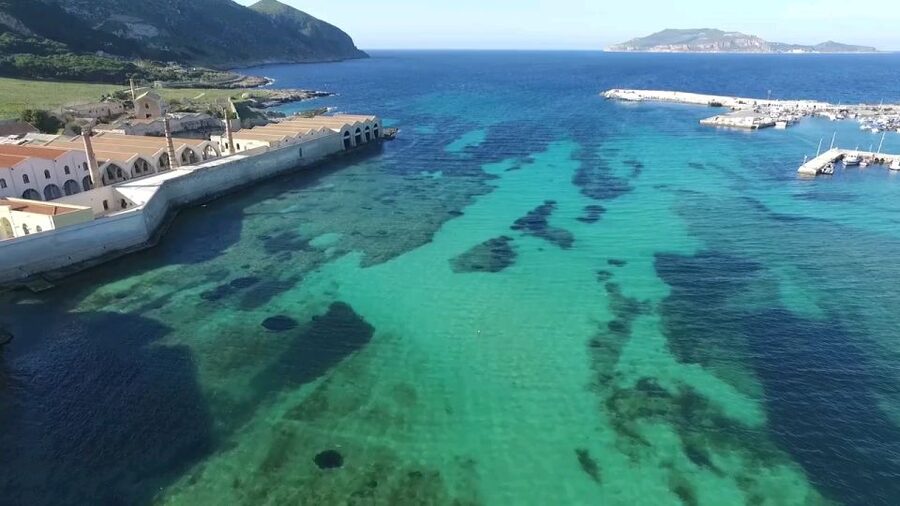 From Trapani: Day Cruise to Favignana & Levanzo with Lunch - What makes this cruise worth considering
