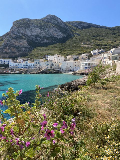 From Trapani: Favignana and Levanzo Mini Cruise with Lunch - Favignana town gives you the most freedom