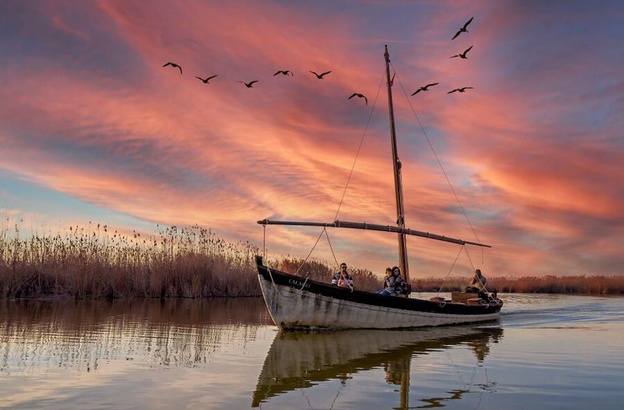 From Valencia: Albufera Natural Park Eco Boat Tour & Sunset - A short stop at La Devesa del Saler beach