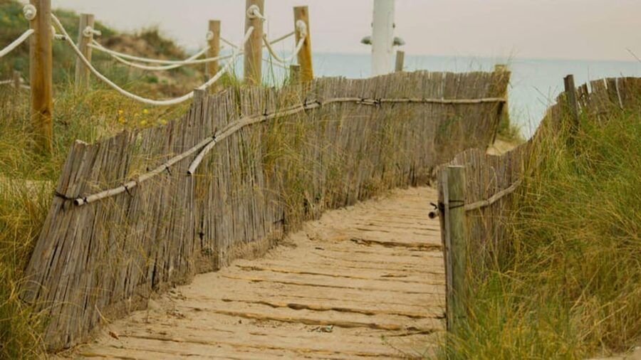 From Valencia: Albufera Natural Park Eco Boat Tour & Sunset - Guides make the difference