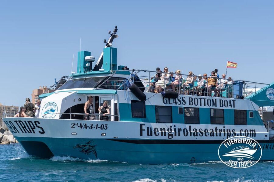 Fuengirola: Catamaran Tour to Spot Dolphins - Key points to know before you sail
