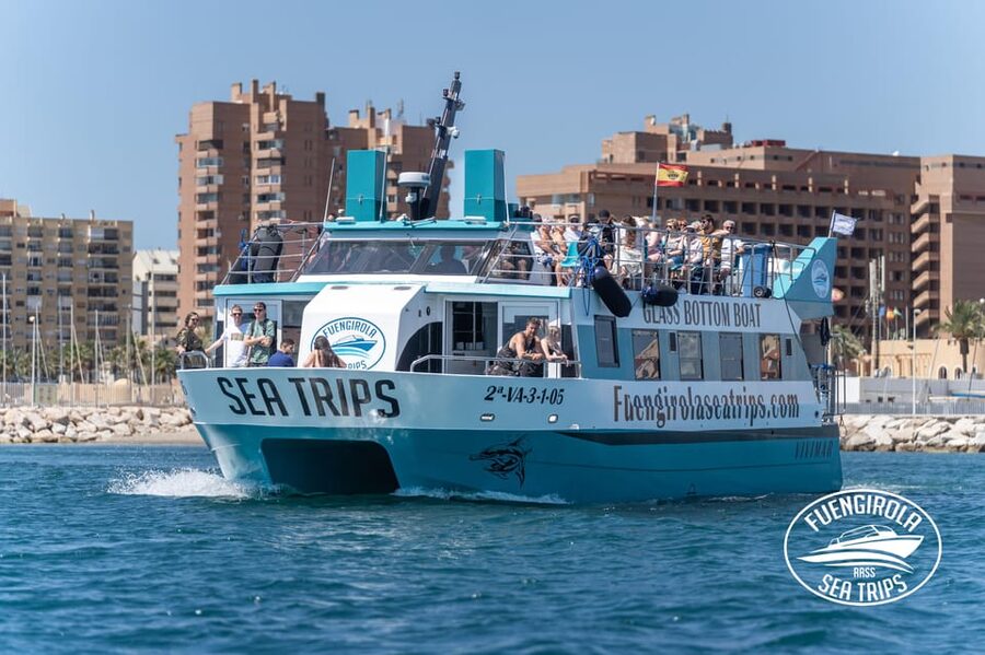 Fuengirola: Catamaran Tour to Spot Dolphins - Meeting the dolphins in open water