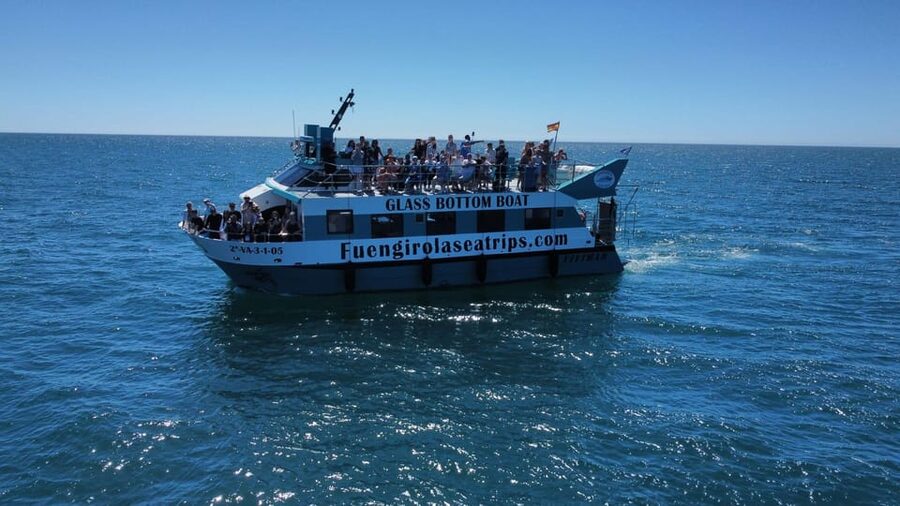 Fuengirola: Catamaran Tour to Spot Dolphins - The glass-bottom claim and what it really means