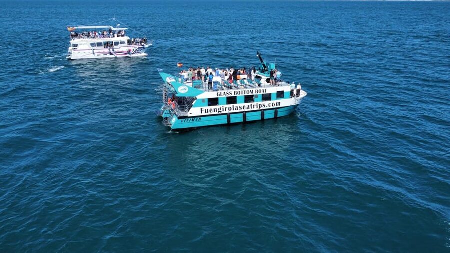 Fuengirola: Catamaran Tour to Spot Dolphins - The first 45 minutes: coast, sea, and dolphin search