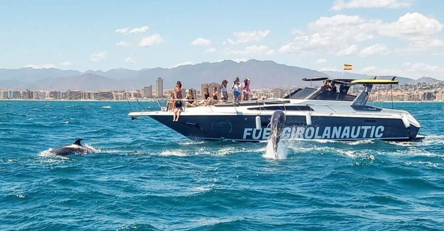 Fuengirola: Dolphin Watching by Yacht with Snacks and Drinks - What the two-hour itinerary feels like