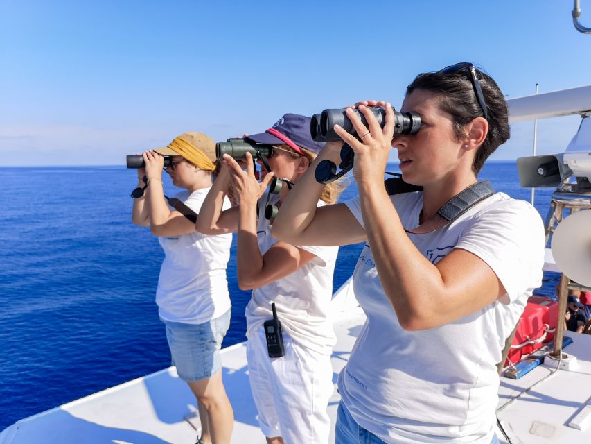 Genoa: Cetacean Watching Cruise with Marine Biologist Guide - Quick Points Before You Book