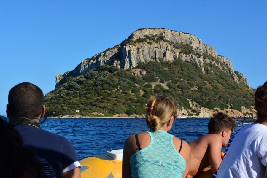 Golfo Aranci: Eco-Friendly Dolphin Watching Boat Trip - Meeting the crew in Golfo Aranci