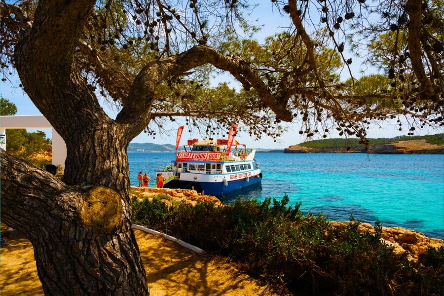 Ibiza: Beach Hopping Cruise w/ Paddleboard, Food, & Drinks - Cala Bassa: clear water and an easy first stop