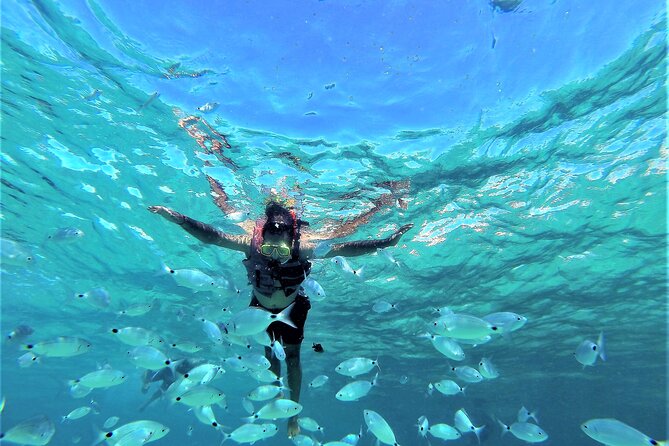 Ibiza Snorkeling Beach and Cave Tour - Key things to know before booking