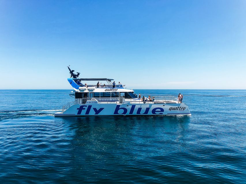Málaga: Scenic Catamaran Cruise - Is One Hour Enough?
