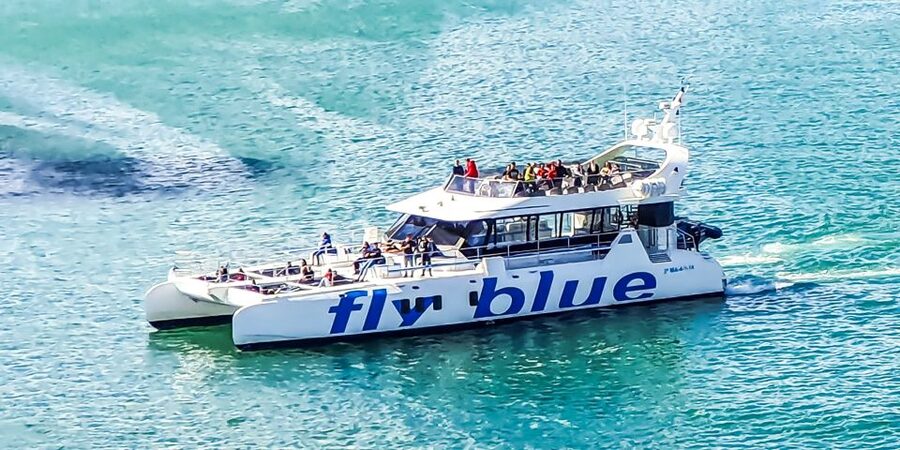 Málaga: Scenic Catamaran Cruise - When to Go and What to Bring