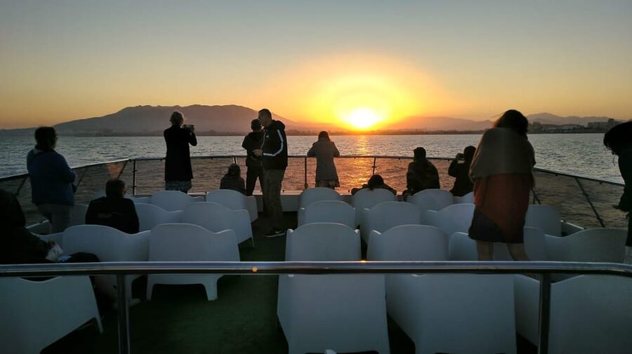 Málaga: Sunset Catamaran Trip - Dolphins are a bonus, not the plan