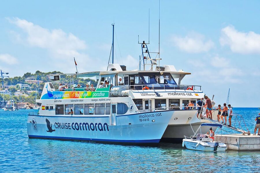 Mallorca: Dolphin Watching Cruise - Key Points Before You Book