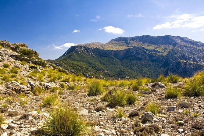 Mallorca in One Day Sightseeing Tour with Boat Ride and Vintage Train - The five details that shape your day