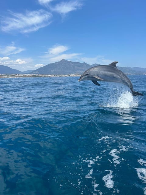 Marbella: Sailing & Dolphin Watching with Snacks and Drinks - Setting Out From Puerto Banús