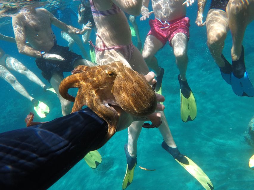 Milos: Half-Day Speedboat Cruise to Klefiko with Snorkeling - Cape Vani and Klima from the sea