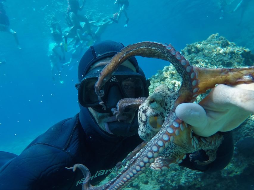 Milos: Half-Day Speedboat Cruise to Klefiko with Snorkeling - Starting from Adamas at 8:30 or 2:30