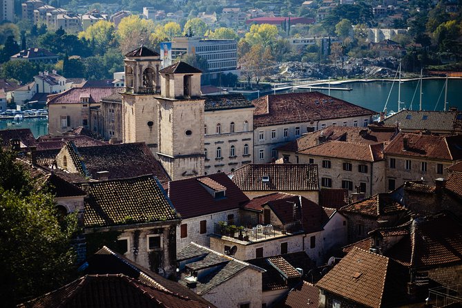 Montenegro Full-Day Trip from Dubrovnik with Optional Boat Trip - Large coach or small group?