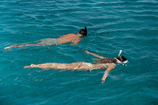 Mykonos: Brand-New Catamaran Cruise with Meal, Drinks & Transport - Who will enjoy this Mykonos cruise most
