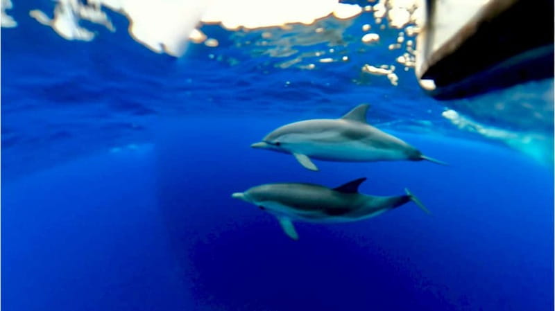 Naxos: Taormina Boat Tour with Snorkeling and Prosecco - Is $53 Good Value for Two Hours?