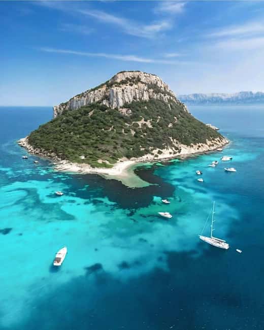 Olbia: Dolphin Watching & Snorkeling Boat Tour near Figarolo - Should you book the Figarolo dolphin tour?